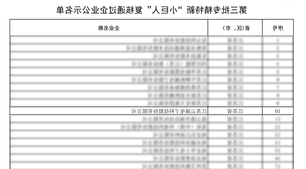 荣誉蝉联|cq9官方网站通过第三批专精特新“小巨人”复核